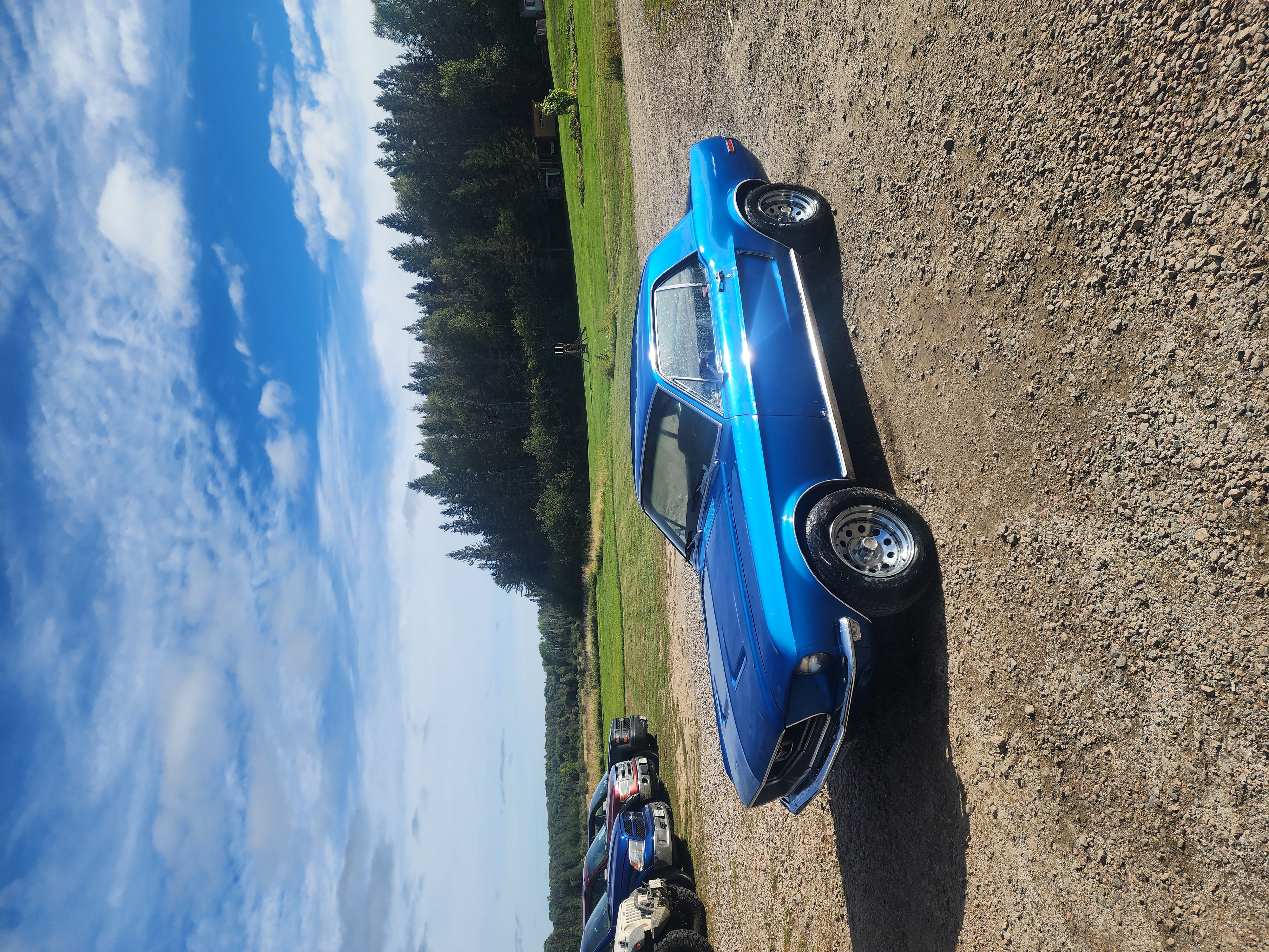 Mustang repair